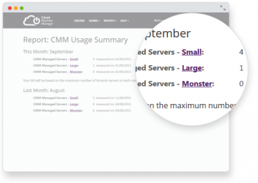 CM-UsageSummaryReport